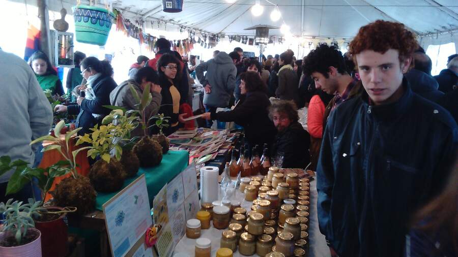 agroecologica sexta edicion - Una multitud disfrutó de las ferias Desapego y Expo Agroecológica