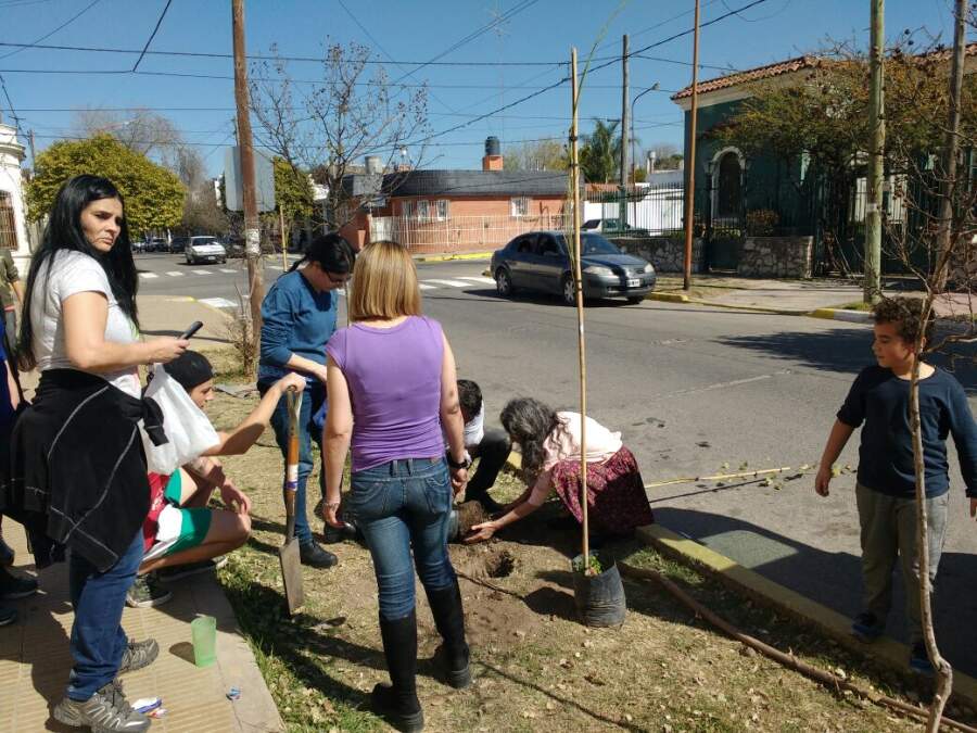 arboles san martin - San Martín: ex alumnos plantaron árboles