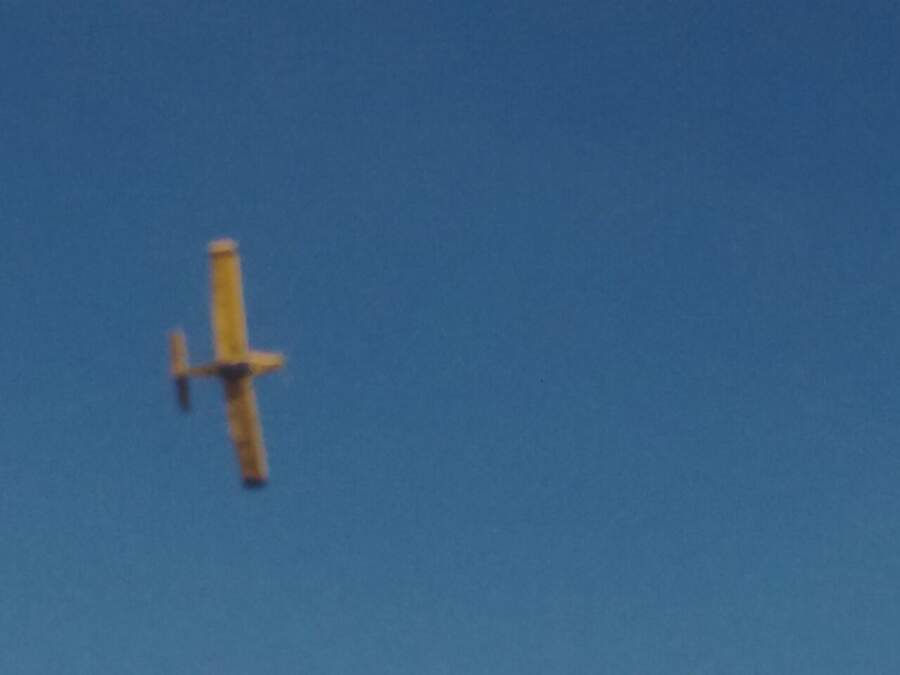 incendio cantera - Bomberos controlan incendio camino a La Paisanita