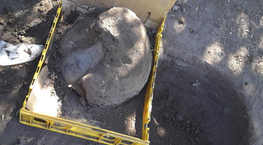 La vasija y el hueco que quedó al ser extraída del suelo - Hallan una importante pieza de cerámica en Cerro Colorado