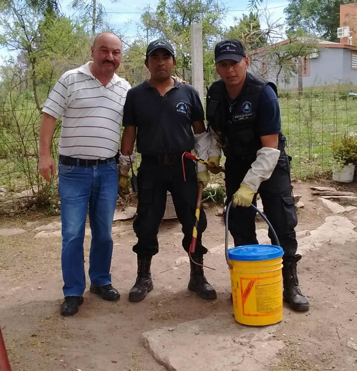En un operativo conjunto retiran una yarará de un domicilio yarara - En un operativo conjunto retiran una yarará de un domicilio