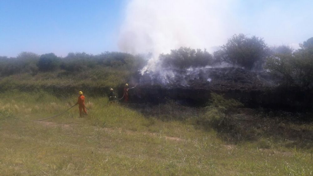 Se quemó un campo en Monte Ralo IMG 20171125 WA0011 - Se quemó un campo en Monte Ralo