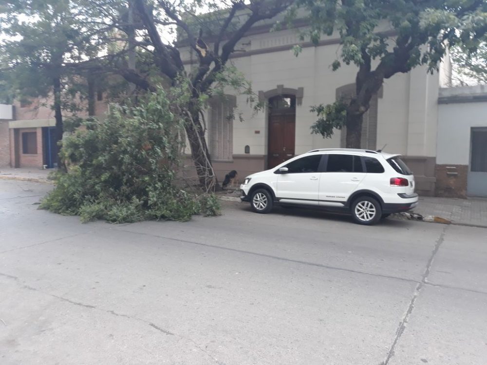 IMG 20171129 WA0042 - Una familia autoevacuada, barrios sin luz y sin agua, son las consecuencias del temporal en Alta Gracia