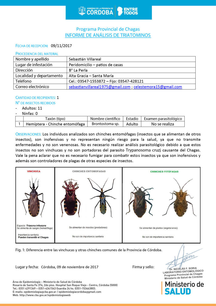 INFORME Sebastian Villareal Municipalidad de Alta Gracia 09. nov. 2017 01 - No son vinchucas los insectos encontrados en Barrio La Perla