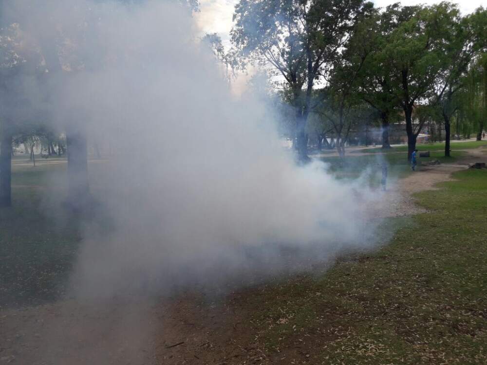 WhatsApp Image 2017 11 09 at 15.20.32 1 - Comenzaron las fumigaciones contra mosquitos y limpieza en el Tajamar