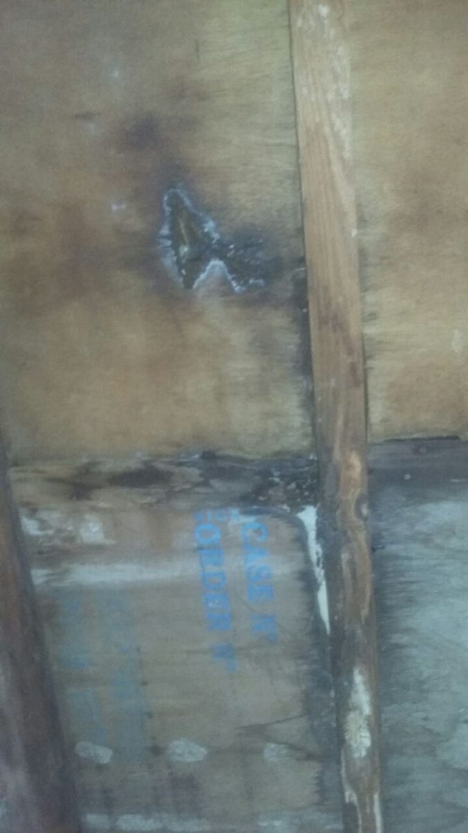 IMG 20171204 WA0018 - Una familia desesperada porque la piedra destruyó su techo