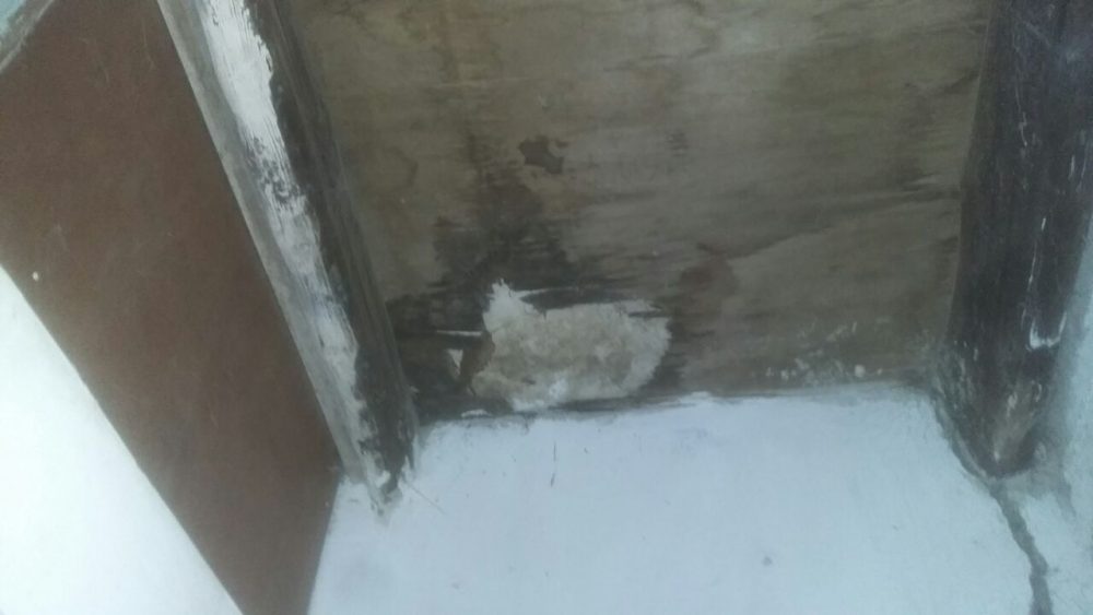 IMG 20171204 WA0021 - Una familia desesperada porque la piedra destruyó su techo