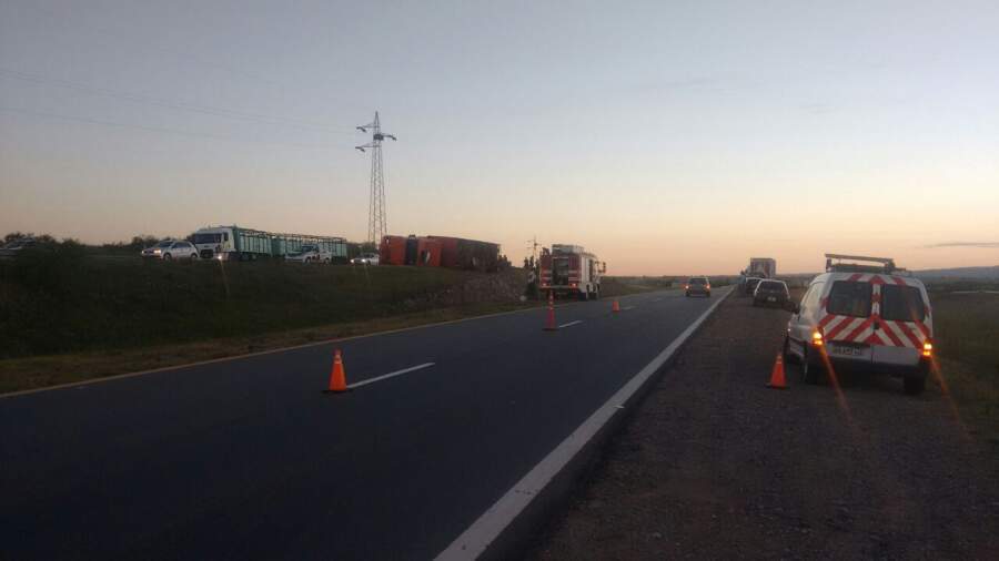camion volcado ruta 36 - Tumbó un camión que transportaba ganado vacuno