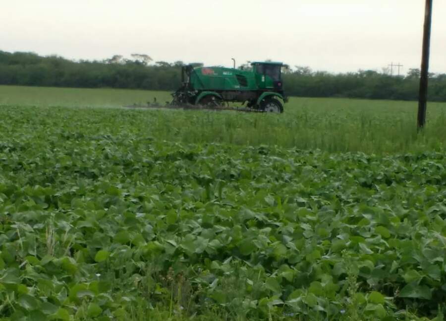Tras la detención de Sofía Gatica productores afirman que la fumigación fue legal fumigacion dique chico - Tras la detención de Sofía Gatica productores afirman que la fumigación fue legal