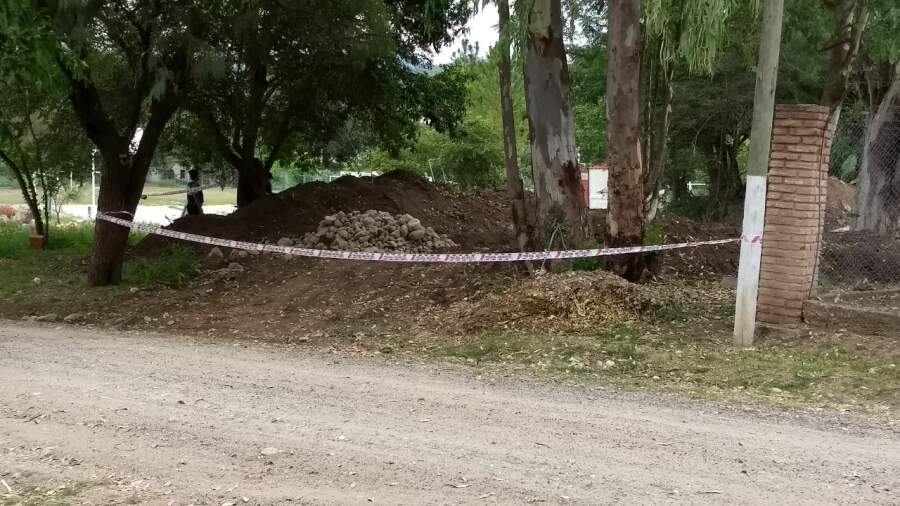 los aromos arbol cerco - Los Aromos : Policía Ambiental acordonó el sector donde se erige el gran árbol