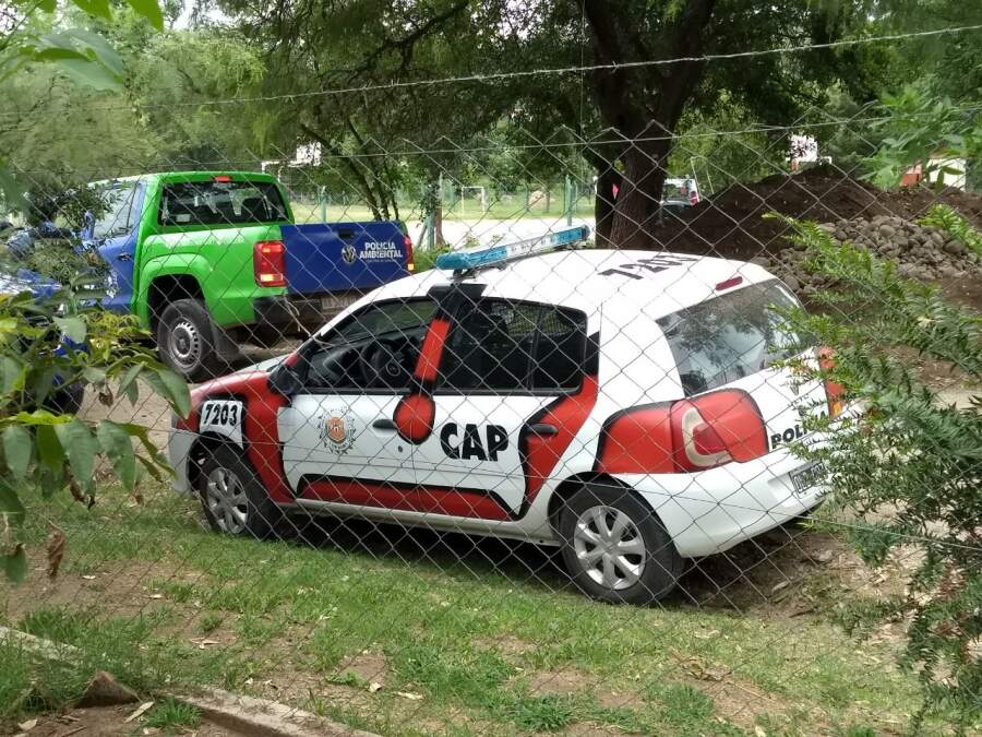 los aromos arbol policia - Los Aromos : Policía Ambiental acordonó el sector donde se erige el gran árbol