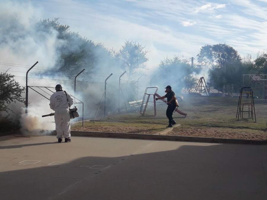 fumigacion jardin patio - Fumigaron el jardín de infantes donde un alacrán picó a un niño