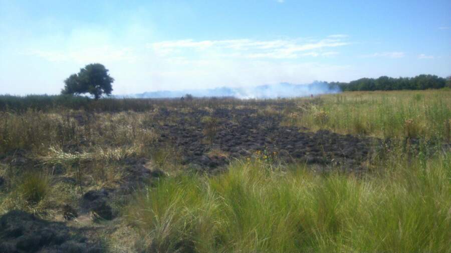 rafael garcia incendio - Se incendió un campo de Rafael García