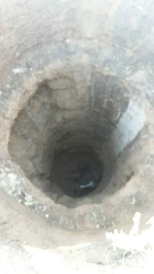 Rescataron un caballo de un pozo en Villa del Prado pozo caballo - Rescataron un caballo de un pozo en Villa del Prado