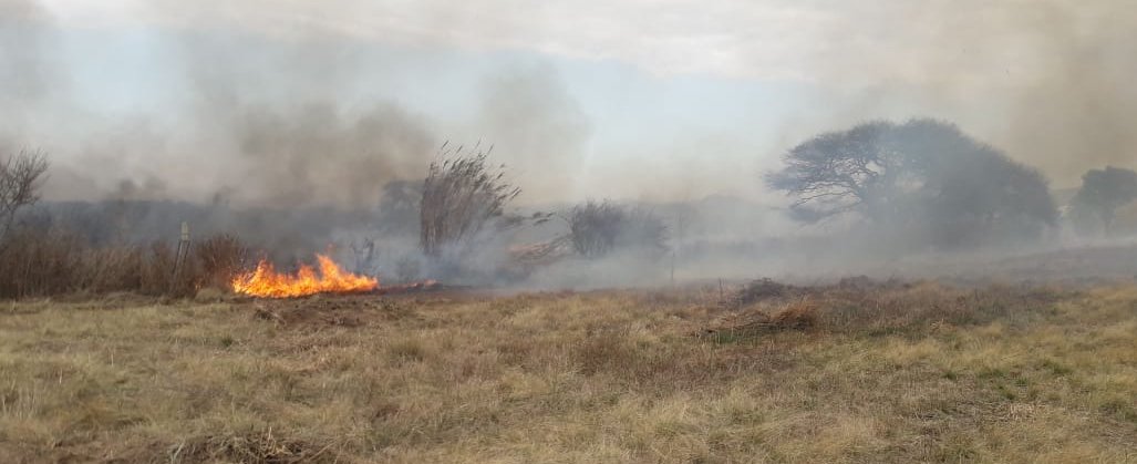 Se quemaron pastizales en cercanías a unas viviendas incendio malagueño pastizales E - Se quemaron pastizales en cercanías a unas viviendas