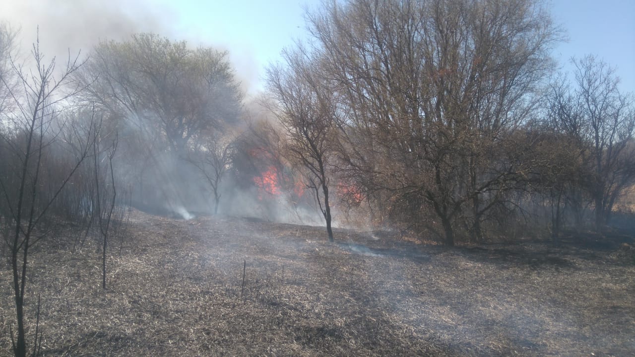 WhatsApp Image 2018 09 06 at 17.18.49 - Combaten un incendio en cercanías a Bouwer