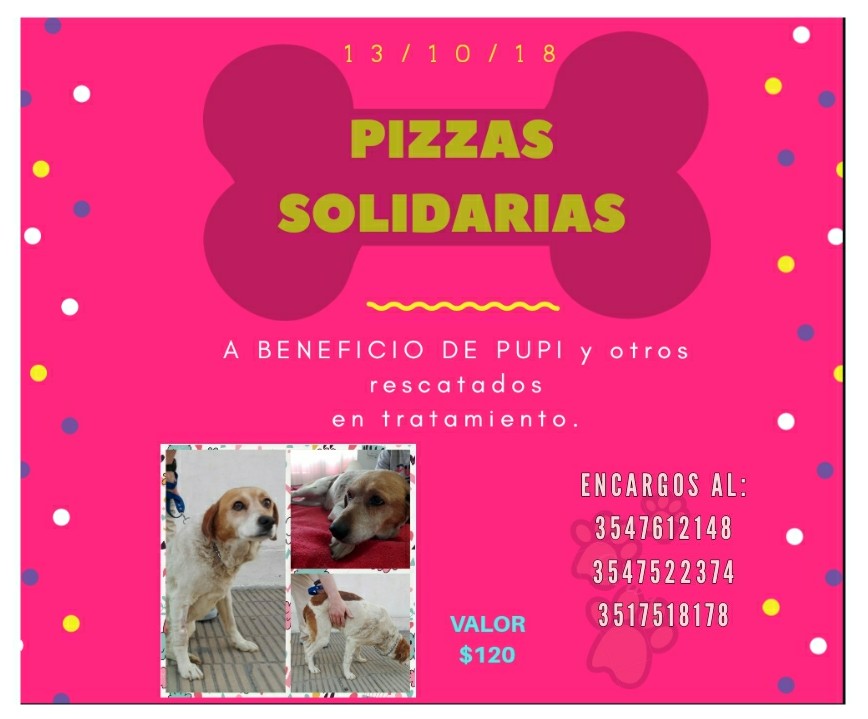 pizzas solidarias - Pizzas solidarias a beneficio de "Pupi" una perrita atropellada