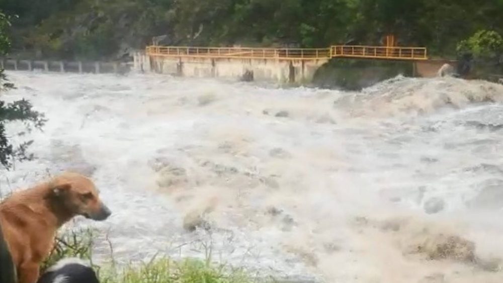 Impactante crecida del río San Antonio: 10 metros de pico crecida rio san antonio C3 - Impactante crecida del río San Antonio: 10 metros de pico