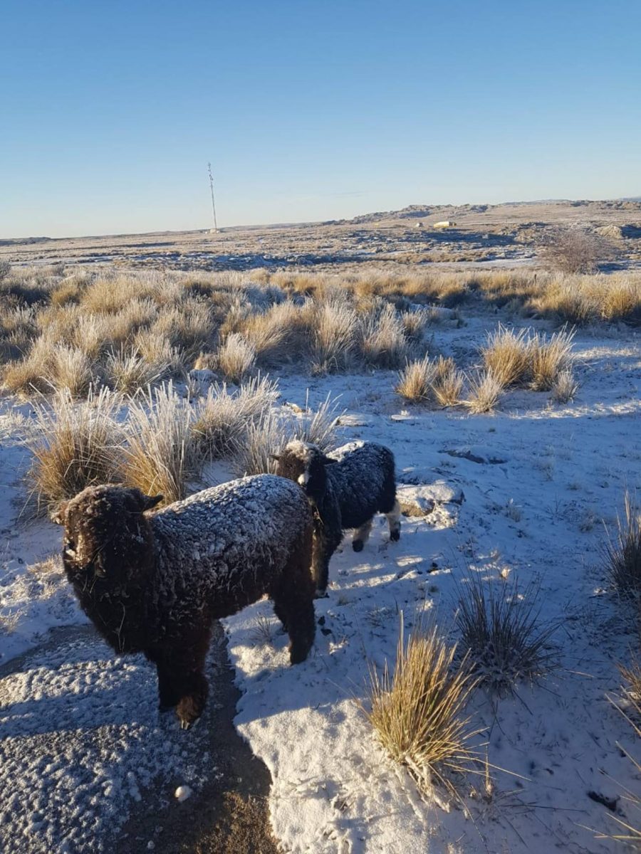 nieve alta cumbre 5 - Imágenes de una nueva nevada en las Altas Cumbres