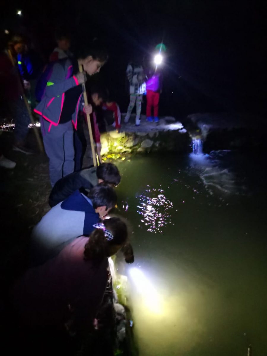 WhatsApp Image 2019 11 03 at 13.14.51 1 - Exitosa caminata nocturna de niñ@s por el arroyo