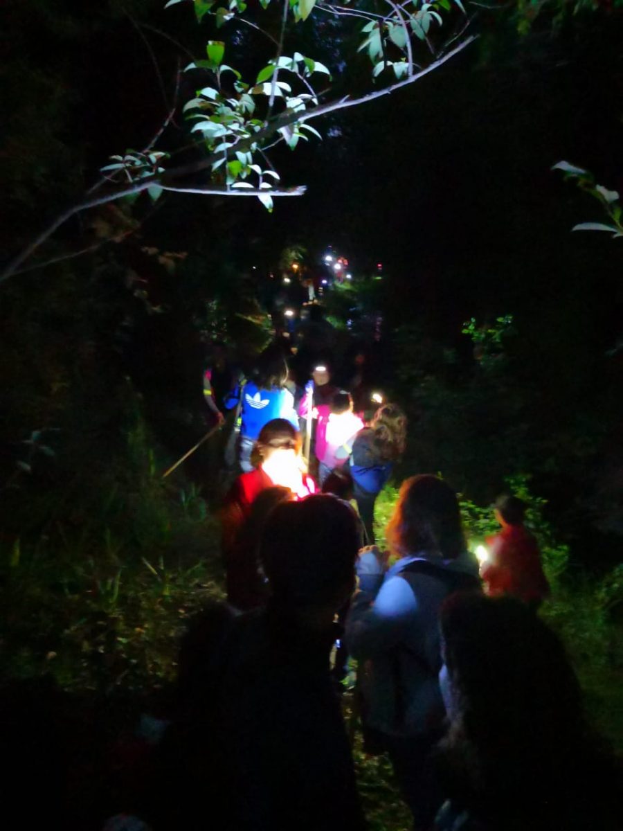 WhatsApp Image 2019 11 03 at 13.14.51 - Exitosa caminata nocturna de niñ@s por el arroyo