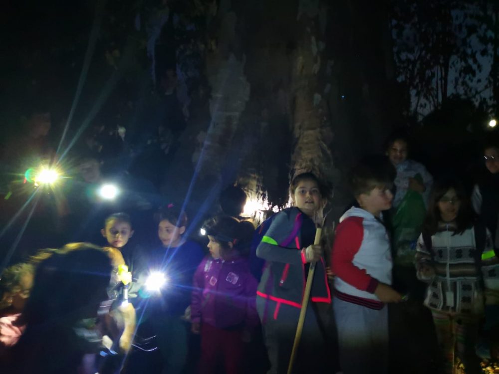 WhatsApp Image 2019 11 03 at 13.14.52 - Exitosa caminata nocturna de niñ@s por el arroyo