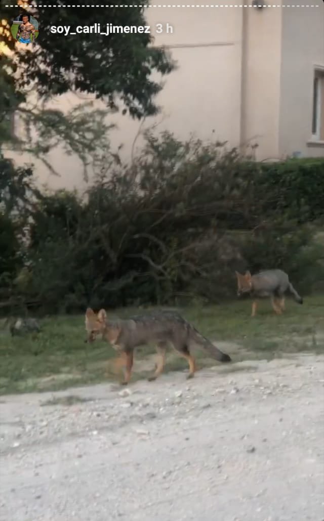 La Mona Jiménez pasará Navidad en Alta Gracia mona carly zorritos potrerillo e - La Mona Jiménez pasará Navidad en Alta Gracia