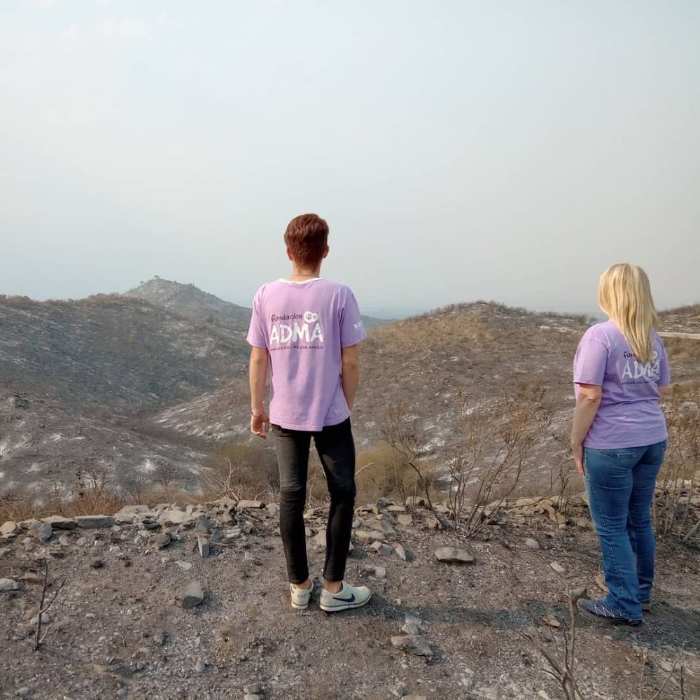 ADMA llevó alimentos para animales a zonas incendiadas adma zona incendiada - ADMA llevó alimentos para animales a zonas incendiadas